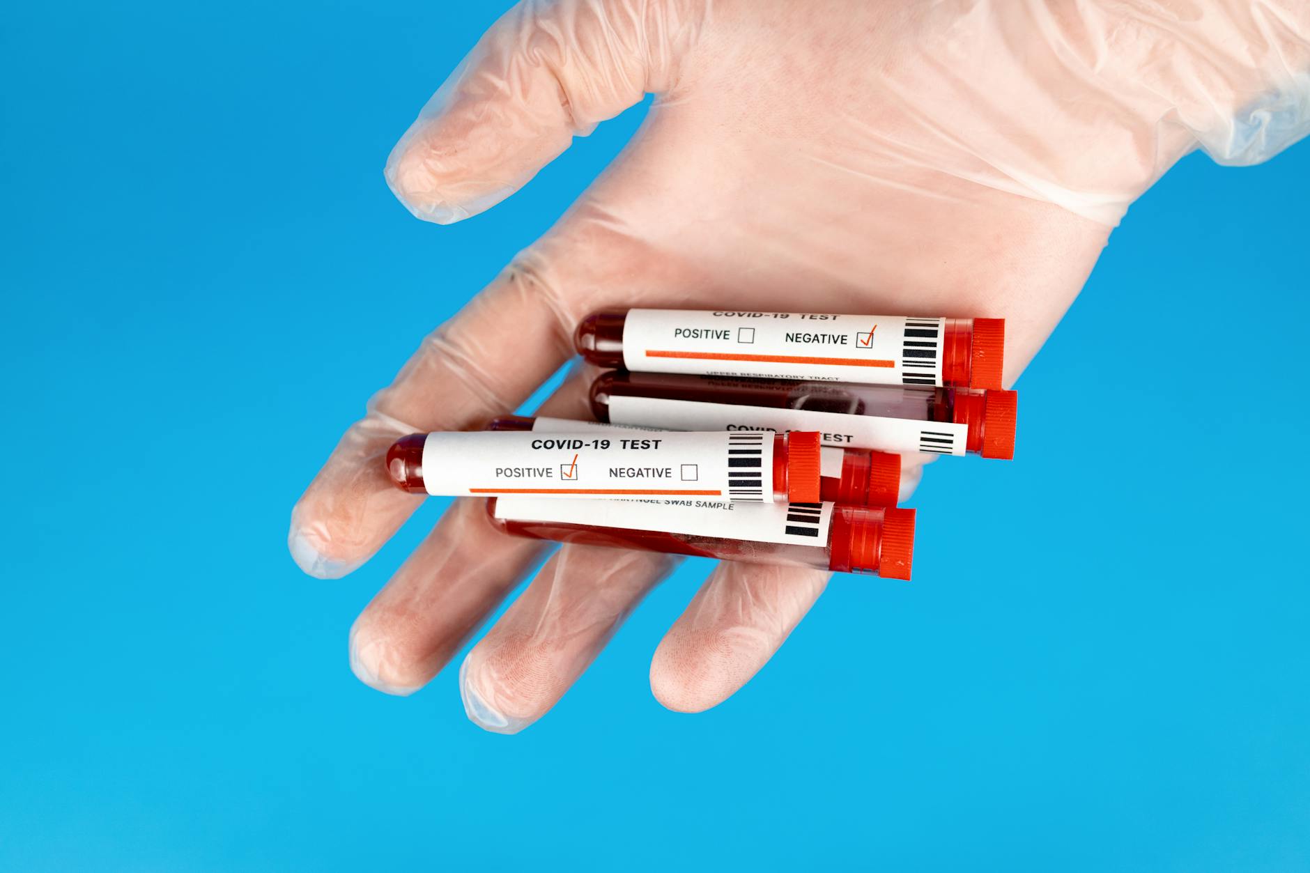 Ręka w rękawiczce trzyma probówki z dodatnimi testami laboratoryjnymi